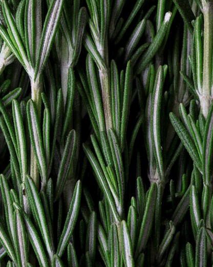 Hair & Scalp Strengthening Oil