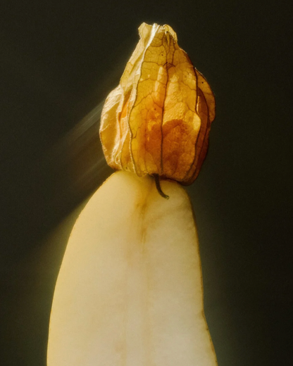 Reset Cleansing Milk