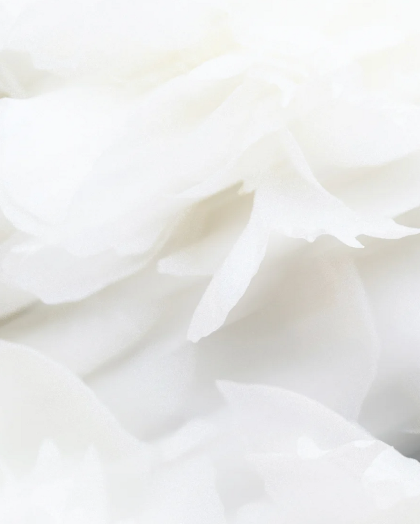 Sensitive Scalp Shampoo